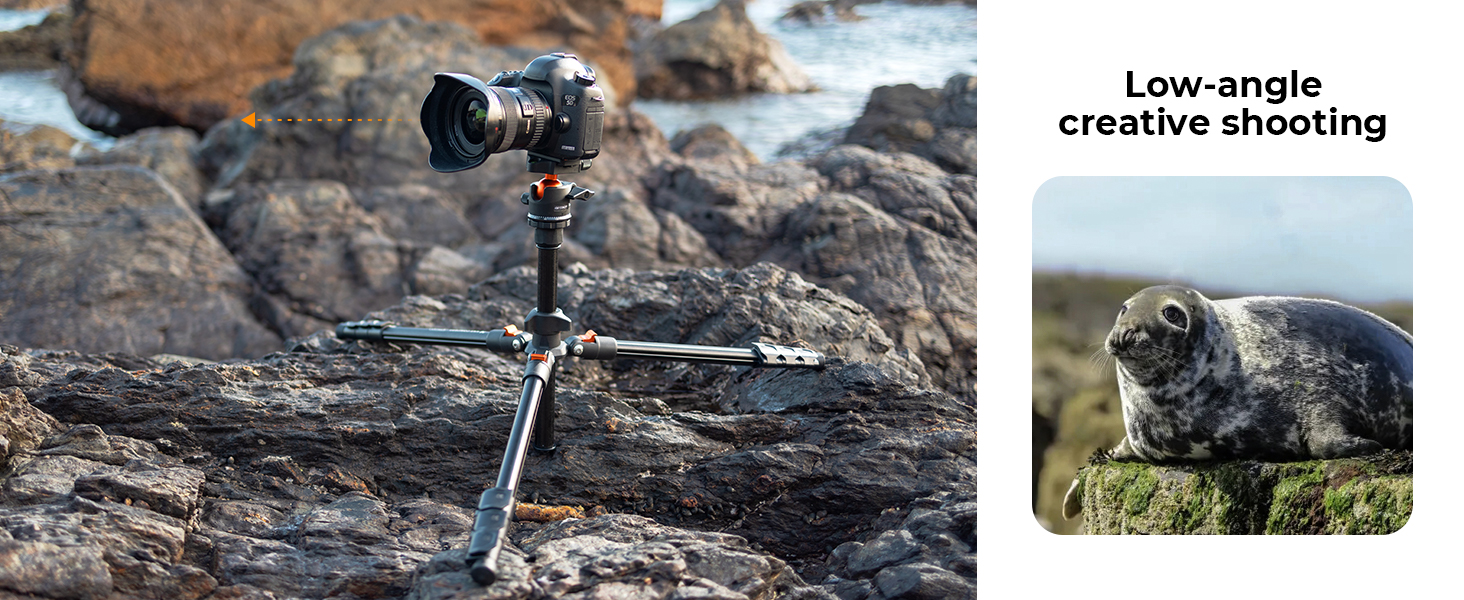 low angle shooting