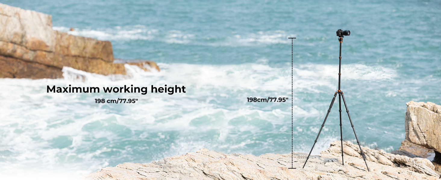 Max Working Height