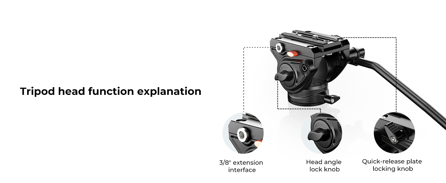 Function Explanation