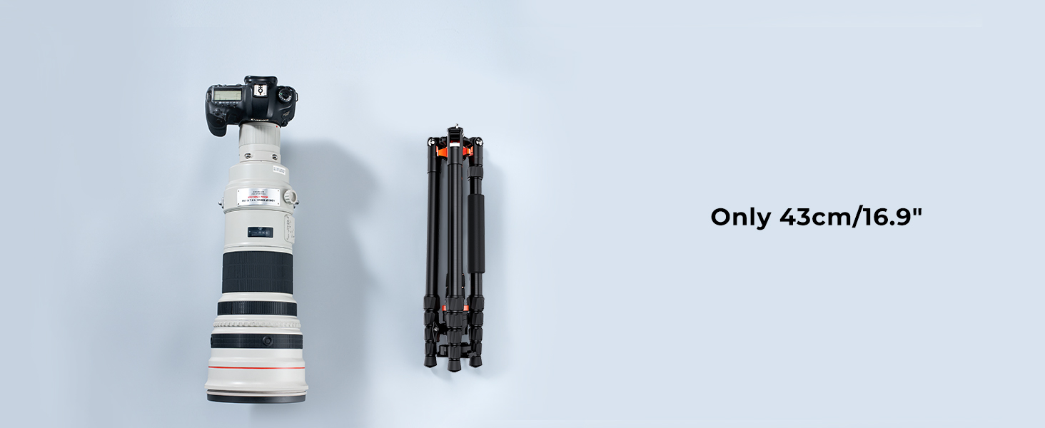 16.9 inch Folded Length
