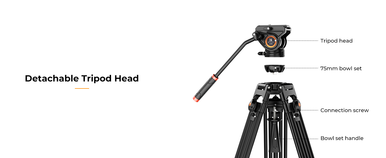 Detachable Tripod Head