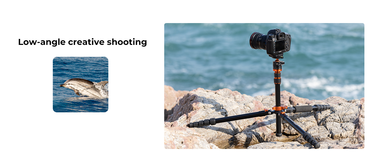 Low Angle Shooting
