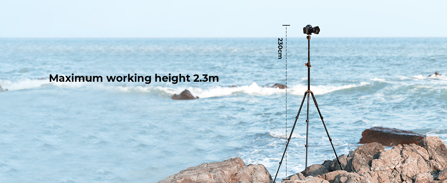 230cm Working Height